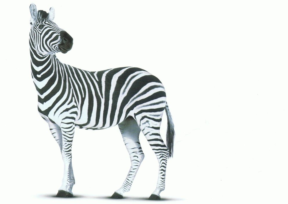 Investec launches new mortgage lender