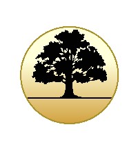 Exclusive: Bridging lender sues MD over £20m loss