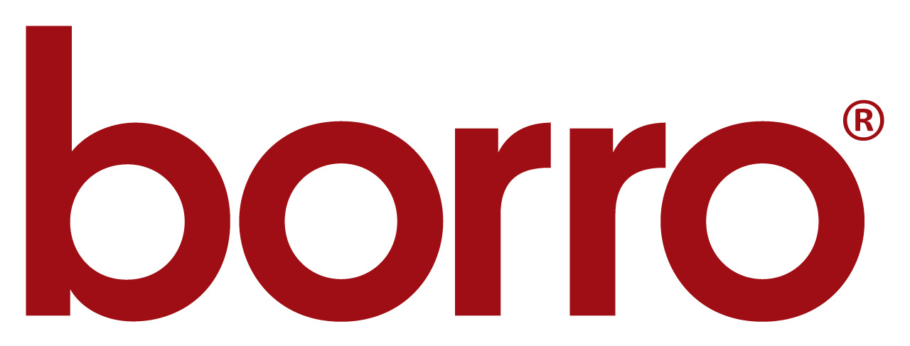 Managing Director leaves Borro